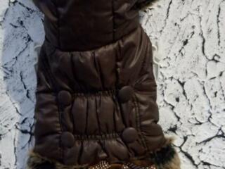 Одежда для собачек