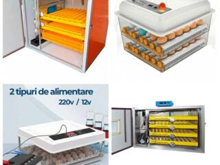 Новые инкубаторы.