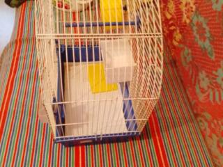 Клетка для птиц