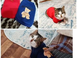 ДЛЯ КОТА, НЕДОРОГО!!!