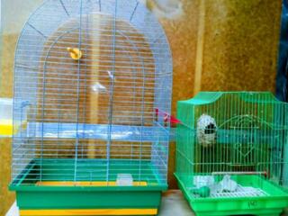 Продам клетку для птиц