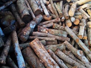 Продаются дрова