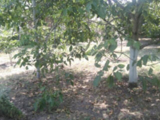 Продам участок 6,5 соток Ц. Село -2/ Черноморка