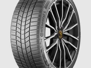 Lăţime: 315. Înălţime: 30. Diametru: 22. Sezonalitate: Iarnă. ID ...