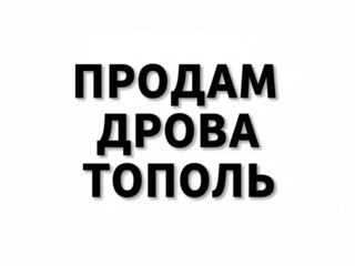 Продам дрова тополь