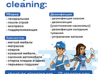 Абсолют Клининг Сервис - уборка, химчистка, дезинсекция