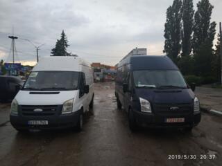 Грузчики + транспорт