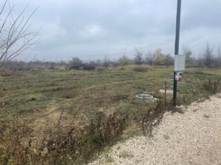 Teren 4,8 ari, Poiana Domnească