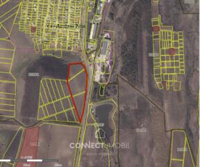 str. Concelierii, Anenii Noi, Moldova