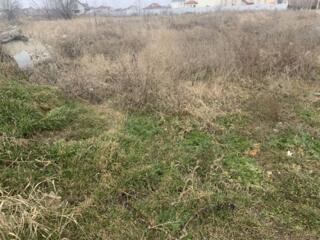 Земельный участок расположен : село Дачное, Беляевского района. Право 