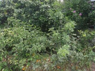 Продаётся уютная зимняя дача в Черноморке