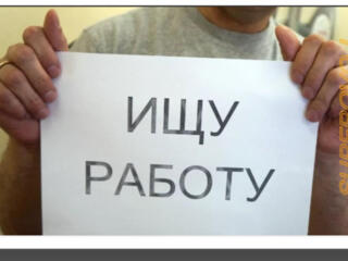 Ищу срочно любую работу