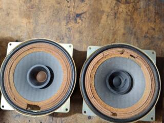 Динамики 10 гдш