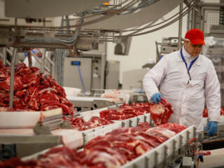 Завод мясного производства. Германия г. Мюнстер