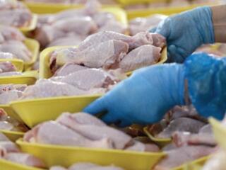 Куриный завод в Польше!