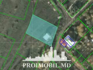 Spre vânzare se oferă 6 terenuri pomicole câte 7 ari fiecare, situate 