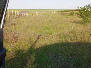 В продаже участок в в Светлом на Кулиндоровских дачах. Участок ...