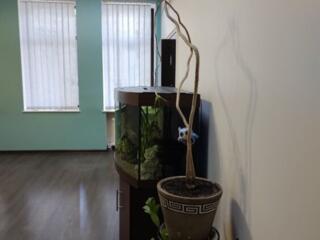 Продам фасадное помещение на Пастера