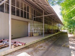 Se oferă spre chirie spațiu industrial în sectorul Botanica, pe str. .