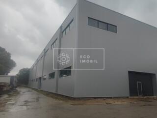 Spre chirie depozit amplasat în sec. Ciocana, str. Uzinelor. ...