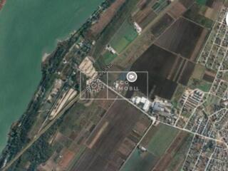 Se vinde teren cu suprafața de 92 ari, situat pe traseul Chișinău – ..