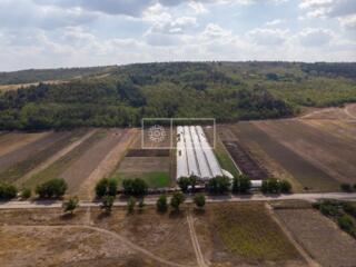 Spre vânzare teren cu afacere activă situat în  mun. Chișinău, com. ..