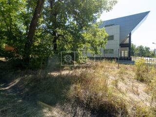 Spre vânzare teren în pădure situat în apropiere de  Poienița Veselă, 