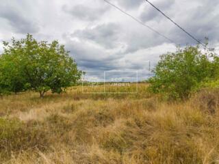 Se oferă spre vânzare teren intravilan pentru construcții locative în 