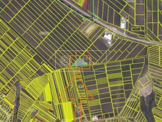 Se oferă spre vânzare teren agricol în mun. Chișinău, comuna ...