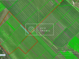 Spre vânzare teren agricol în raionul Căușeni, satul Grigorievca. ...