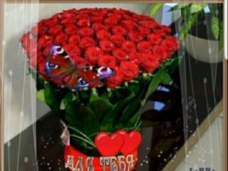 Caut doamna sau domnisoara. Am - vointa si inteligenta.