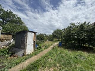 Прекрасный вариант для тех, кто ищет уютный дом с большим участком ...