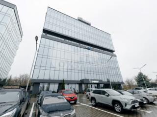 Se oferă spre chirie spațiu comercial/oficiu amplasat în ...