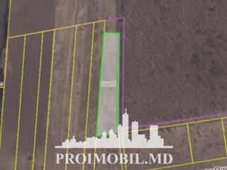 Spre vânzare se oferă teren agricol, situat în în Tohatin.Suprafața ..