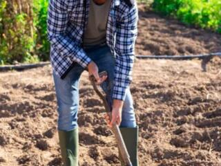 Работа. Копка клумб. Частный дом. Бендеры Хомутовка.