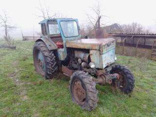 Трактор т 40 ам 4 на 4 не на ходу цена 2000 уе