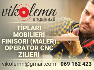Vikolemn angajeaza: TIPLARI, MOBILIERI, finisori, operator cnc zilieri