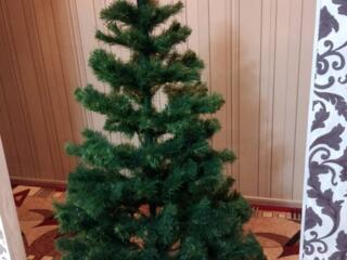 Продам ёлку 1.6м