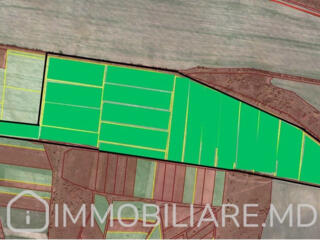 Teren agricol, loc. Zubrești, r-nul Strășeni Vă propunem spre vânzare 