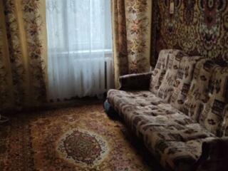 Аренда квартиры, балка