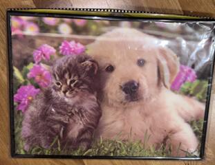 Картина 3D эффект