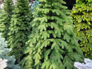 Литые елки, силиконовые, бесплатная доставка