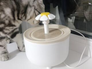Питьевой фонтанчик для котиков