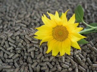 Peleți "Eiegs A2" Stejar 70% + Floarea Soarelui 30% Дуб + Подсолнух