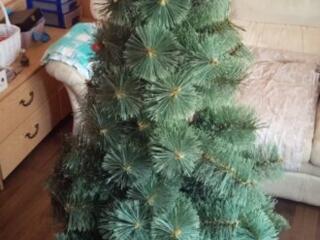 Высокая пушистая ( ель ) с плотными, длинными иголками. Выглядит