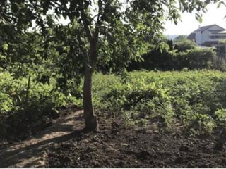 В продаже участок в Новой Дофиновке. Участок 7,7 соток земли ...