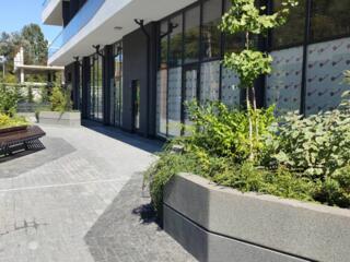 Продаётся 1-комнатная квартира-студия на первой линии моря в Одессе. .