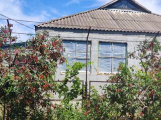 Продается дом, с. Дачное