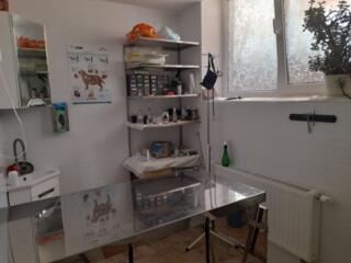 Помещение под бизнес 61 м² в ЖК Реал Парк, действующий объект