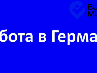 Требуются сотрудники на завод в Германии